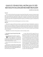 Giao lưu văn hóa Thái- Mường qua tư liệu mộ táng ở vùng lòng hồ thủy điện Trung Sơn