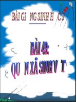 Quần xã sinh vật | Lớp 9, Sinh học - Ôn Luyện