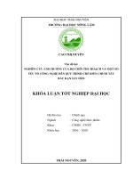 (Khóa luận tốt nghiệp) Nghiên cứu ảnh hưởng của độ chín thu hoạch và một số yếu tố công nghệ đến quy trình chế biến chuối tây Bắc Kạn sấy dẻo