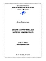 tóm tắt lòng tin và hành vi mua của người tiêu dùng trực tuyến 