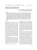 NHẬN DẠNG CẢM XÚC TRONG VIDEO  SỬ DỤNG MẠNG NƠ RON TÍCH CHẬP