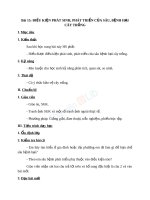 Giáo án Công nghệ 10 bài 15 Điều kiện phát sinh, phát triển của sâu bệnh hại cây trồng | Lớp 10, Công Nghệ - Ôn Luyện