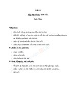 Giáo án Âm nhạc 5 tiết 11 Tập đọc nhạc TĐN số 3 | Âm nhạc, Lớp 5 - Ôn Luyện