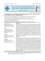 Đa dạng loài và mối quan hệ di truyền giữa các loài giun đất ở tỉnh Bình Dương và Bình Phước