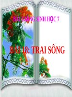 Soạn bài Trai sông | Lớp 7, Sinh học - Ôn Luyện