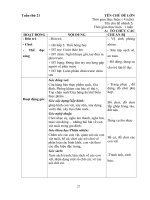 Giáo án phụ tuần 19 Thế giới thực vật