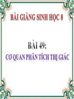 Cơ quan phân tích thị giác | Lớp 8, Sinh học - Ôn Luyện