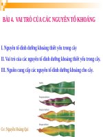 Tiet 04  vai tro cua cac nguyen to khoang 