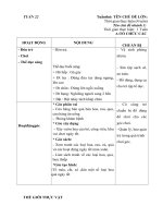 GIÁO ÁN TUẦN 19 CHỦ ĐỀ THẾ GIỚI THỰC VẬT