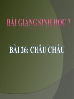 Soạn bài Châu chấu | Lớp 7, Sinh học - Ôn Luyện