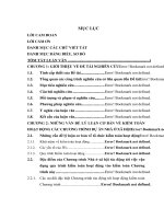 Hoàn thiện vận dụng quy trình kiểm toán hoạt động vào kiểm toán chương trình nhà ở xã hội do Kiểm toán Nhà nước thực hiện trên địa bàn thành phố Hà nội