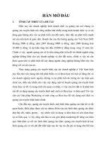 Những giải pháp Marketing nhằm phát triển dịch vụ quảng cáo truyền hình của công ty TVPlus