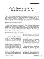 Một số biến đổi trong thực hành tín ngưỡng thờ Mẫu Tam Phủ