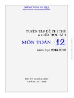 Tuyển tập đề thi thử và giữa học kỳ 1 toán 12 năm học 2018 – 2019 (EX3 – 2019)