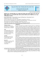 Khảo sát ảnh hưởng của một số tính chất hóa học đất lên sự hiện diện của nấm rễ nội cộng sinh trong đất trồng lúa tại tỉnh Hậu Giang