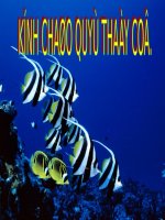 Tiet 01  su hap thu nuoc va muoi khoang o re 