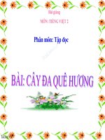 bài Tập đọc - Cây đa quê hương | Ngữ văn, Lớp 2 - Ôn Luyện