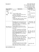 Giáo án phụ tuần 19 Thế giới thực vật