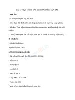 Giáo án Công nghệ 10 bài 5 Thực hành - Xác định sức sống của hạt | Lớp 10, Công Nghệ - Ôn Luyện