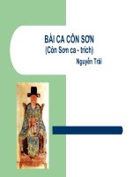 bài ca Côn Sơn | Ngữ văn, Lớp 7 - Ôn Luyện