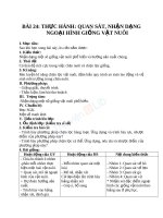 Giáo án Công nghệ 10 bài 24 Thực hành - Quan sát nhận dạng ngoại hình giống vật nuôi | Lớp 10, Công Nghệ - Ôn Luyện