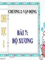 Soạn bài Bộ xương | Lớp 8, Sinh học - Ôn Luyện