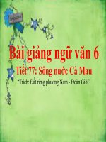 bài Sông nước Cà Mau | Ngữ văn, Lớp 6 - Ôn Luyện