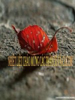 Tiet 10  nguyen dinh chieu ngoi sao sang trong van nghe cua dan toc 