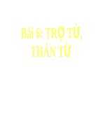 Trợ từ, thán từ | Ngữ văn, Lớp 8 - Ôn Luyện