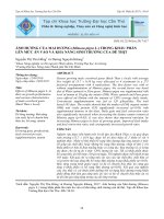 Ảnh hưởng của Mai dương (Mimosa pigra L.) trong khẩu phần lên mức ăn vào và khả năng sinh trưởng của dê thịt