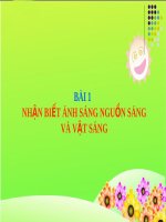 Nhận biết ánh sáng-nguồn sáng và vật sáng | Vật lý, Lớp 8 - Ôn Luyện