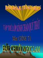 bài Chính tả - Nghe, viết Chuỗi ngọc lam | Ngữ văn, Lớp 5 - Ôn Luyện