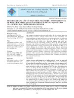 Tránh né quảng cáo và nhận thức nhãn hiệu - một nghiên cứu về hình thức video quảng cáo trên các trang mạng xã hội của giới trẻ tại thành phố Hồ Chí Minh