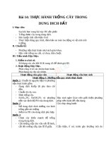 Giáo án Công nghệ 10 bài 14 Thực hành - Trồng cây trong dung dịch | Lớp 10, Công Nghệ - Ôn Luyện