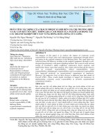 Phân tích tác động của trách nhiệm xã hội đến giá trị thương hiệu và sự gắn kết tổ chức thông qua cảm nhận của người lao động tại các doanh nghiệp thủy sản vùng Đồng bằng sông Cửu Long