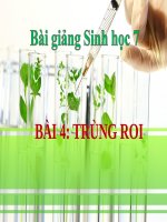 Soạn bài Trùng roi | Lớp 7, Sinh học - Ôn Luyện