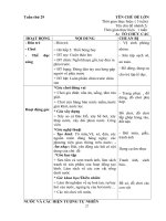 Giáo án phụ tuần 19 Thế giới thực vật