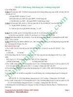 Toán 8 Hình Học chuyên đề hinh thang hinh thang can va duong trung binh cua hinh thang