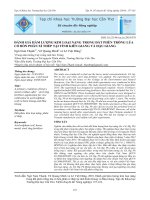 Đánh giá hàm lượng kim loại nặng trong đất phèn trồng lúa có bón phân xỉ thép tại tỉnh Kiên Giang và Hậu Giang