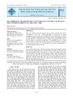 Quá trình đấu tranh giữ gìn và xây dựng lực lượng cách mạng, tiến tới Đồng Khởi ở Cần Thơ (1954 - 1960)