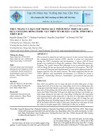 Thực trạng và hạn chế trong quá trình phát triển du lịch dựa vào cộng đồng ở khu vực miền núi huyện A Lưới, tỉnh Thừa Thiên Huế