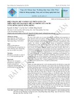 Hiện trạng hệ vi sinh vật phân giải lân trên một số loại đất phù sa trồng lúa nước vùng đồng bằng sông Hồng