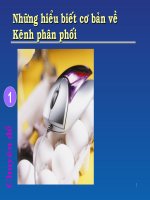 6. Những hiểu biết cơ bản về kênh phân phối