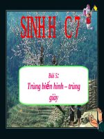 Trùng biến hình và trùng giày | Lớp 7, Sinh học - Ôn Luyện