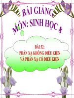 Phản xạ có điều kiện và phản xạ không có điều kiện | Lớp 8, Sinh học - Ôn Luyện