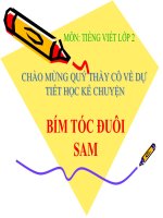 bài Kể chuyện - Bím tóc đuôi sam | Ngữ văn, Lớp 2 - Ôn Luyện
