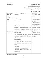 Giáo án phụ tuần 19 Thế giới thực vật