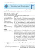 Nghiên cứu phát triển du lịch homestay vùng ven biển huyện An Biên, tỉnh Kiên Giang