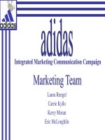 Mẫu: IMC_campaign_của Adidas