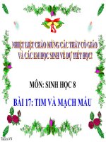 Tim và mạch máu | Lớp 8, Sinh học - Ôn Luyện